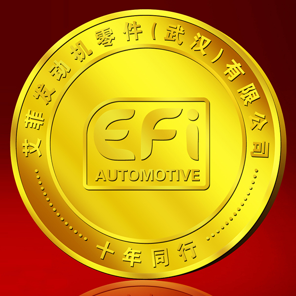 (法國)艾菲發動機零件(武漢)有限公司十周年紀念