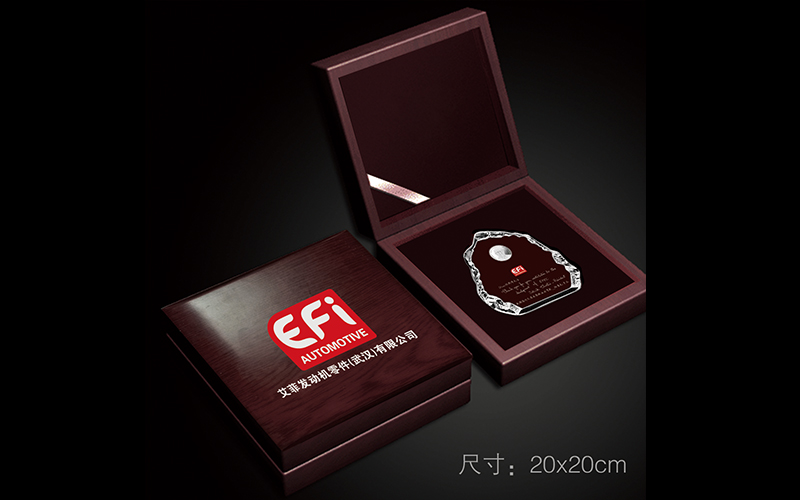 (法國)艾菲發動機零件(武漢)有限公司十周年紀念