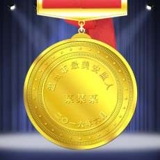 溫州最美安檢人表彰紀念獎牌