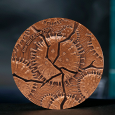 新型冠狀病毒抗疫紀念銅章